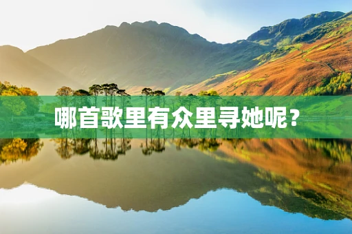 哪首歌里有众里寻她呢？