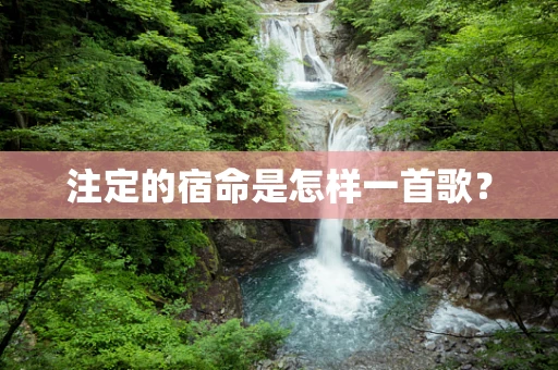 注定的宿命是怎样一首歌？