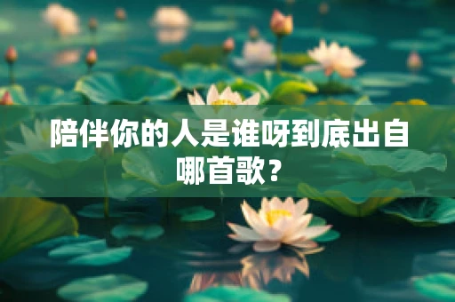 陪伴你的人是谁呀到底出自哪首歌？