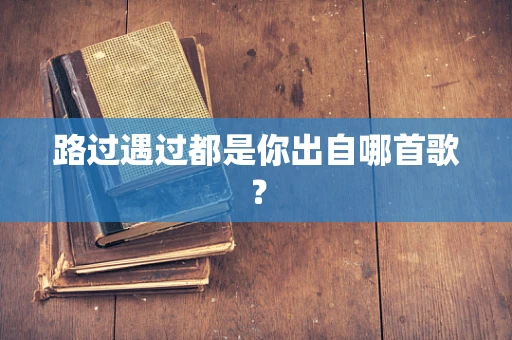 路过遇过都是你出自哪首歌？