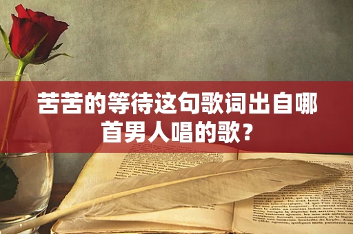 苦苦的等待这句歌词出自哪首男人唱的歌？