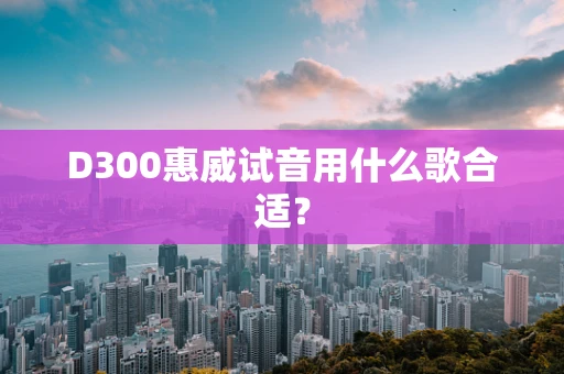 D300惠威试音用什么歌合适？