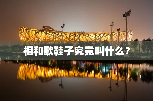 相和歌鞋子究竟叫什么？