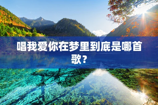 唱我爱你在梦里到底是哪首歌？