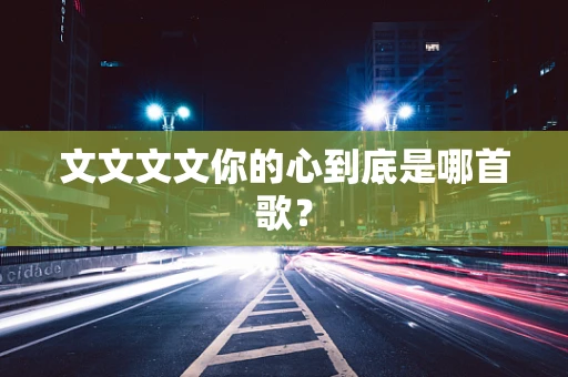 文文文文你的心到底是哪首歌？