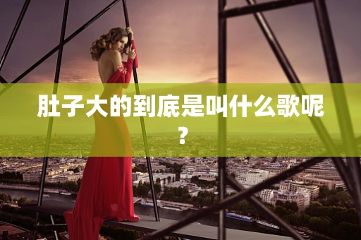 肚子大的到底是叫什么歌呢？