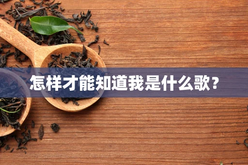 怎样才能知道我是什么歌？