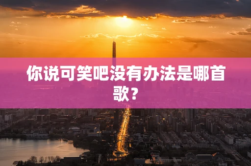 你说可笑吧没有办法是哪首歌？