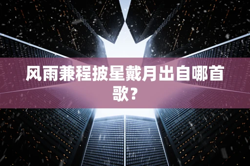 风雨兼程披星戴月出自哪首歌？