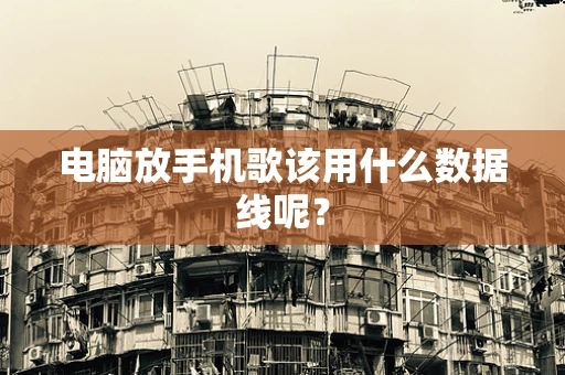 电脑放手机歌该用什么数据线呢？