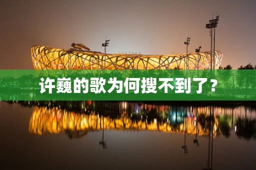 许巍的歌为何搜不到了？