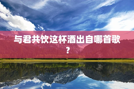 与君共饮这杯酒出自哪首歌？