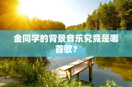 金同学的背景音乐究竟是哪首歌？