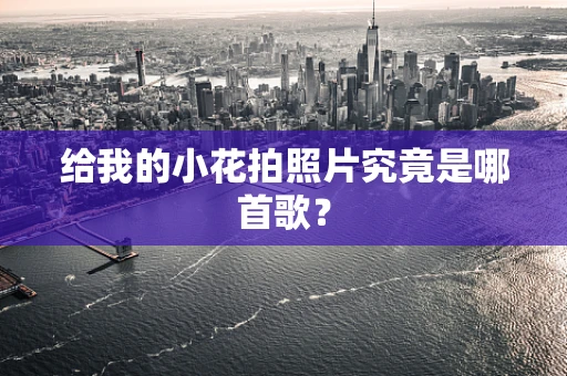 给我的小花拍照片究竟是哪首歌？