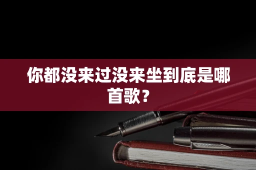 你都没来过没来坐到底是哪首歌？