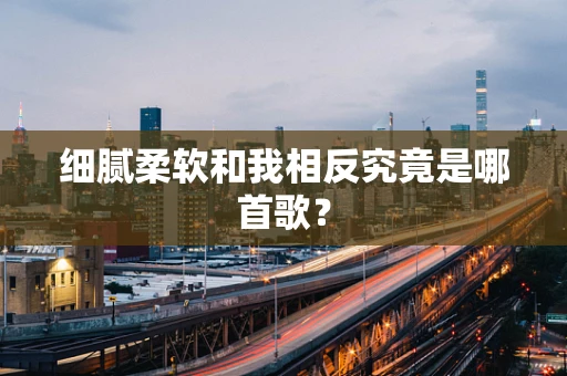 细腻柔软和我相反究竟是哪首歌？