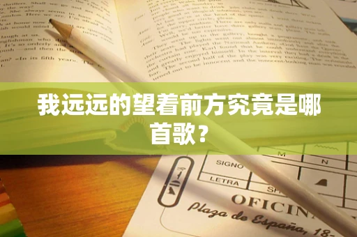 我远远的望着前方究竟是哪首歌？