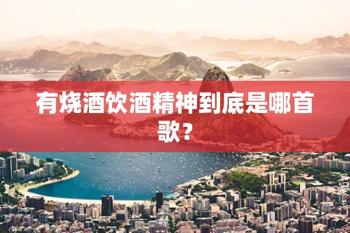 有烧酒饮酒精神到底是哪首歌？