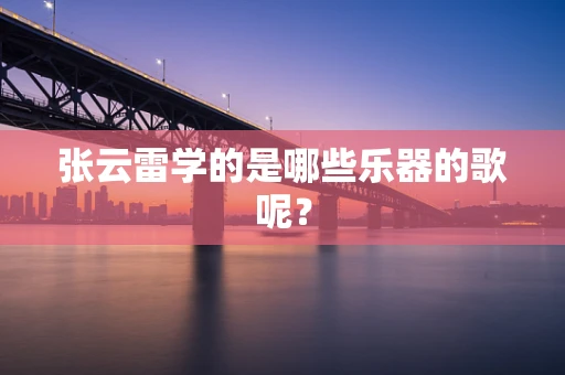 张云雷学的是哪些乐器的歌呢？