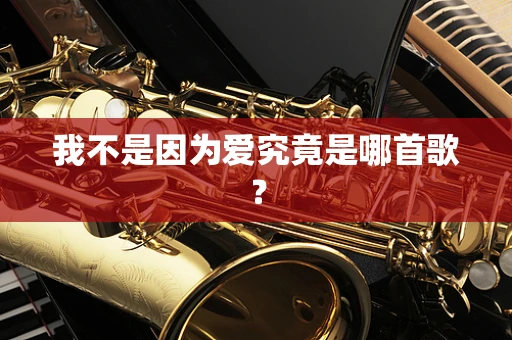 我不是因为爱究竟是哪首歌？