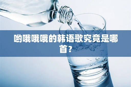 哟哦哦哦的韩语歌究竟是哪首？