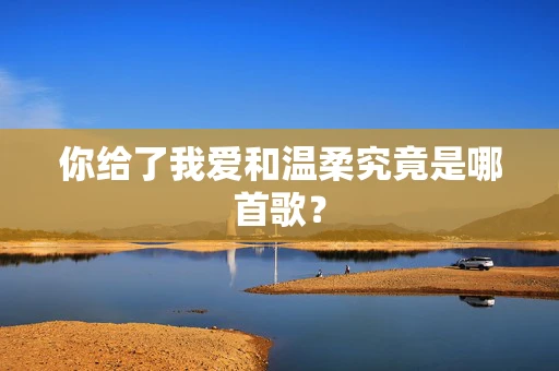你给了我爱和温柔究竟是哪首歌？