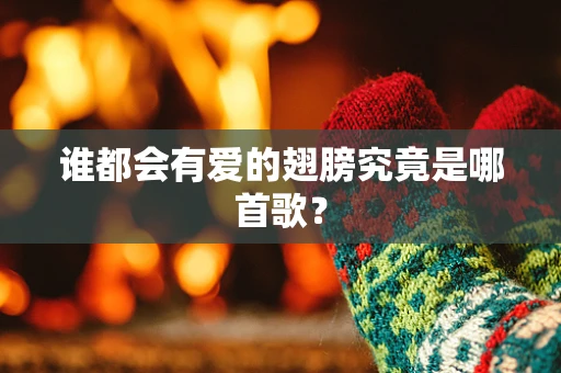 谁都会有爱的翅膀究竟是哪首歌？