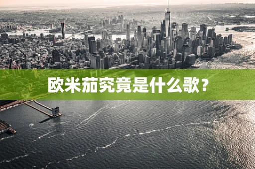 欧米茄究竟是什么歌？