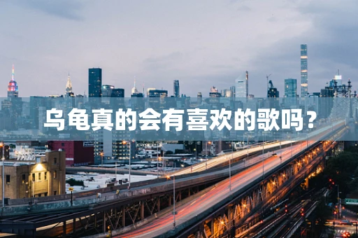 乌龟真的会有喜欢的歌吗？