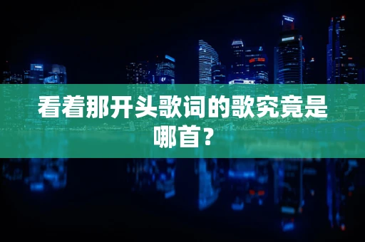 看着那开头歌词的歌究竟是哪首？