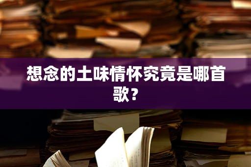 想念的土味情怀究竟是哪首歌？