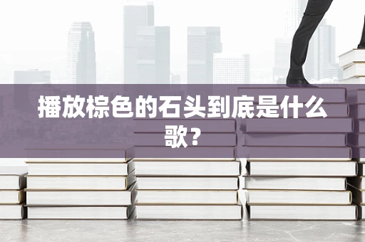 播放棕色的石头到底是什么歌？