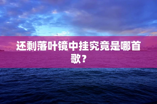还剩落叶镜中挂究竟是哪首歌？