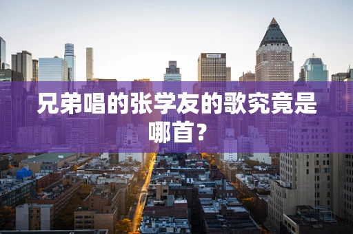 兄弟唱的张学友的歌究竟是哪首？