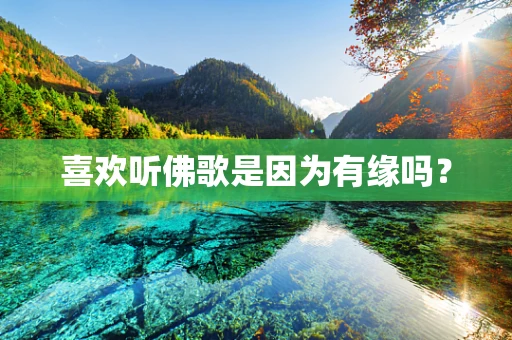 喜欢听佛歌是因为有缘吗？