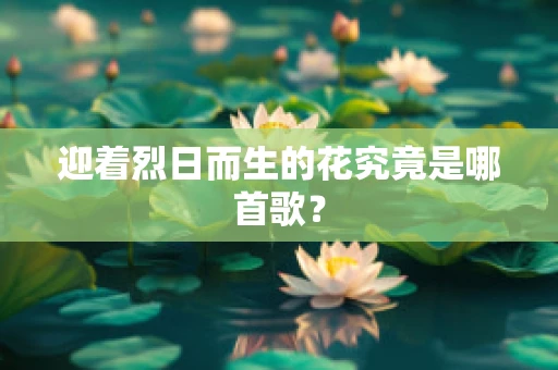 迎着烈日而生的花究竟是哪首歌？