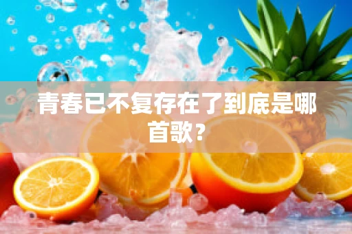 青春已不复存在了到底是哪首歌？