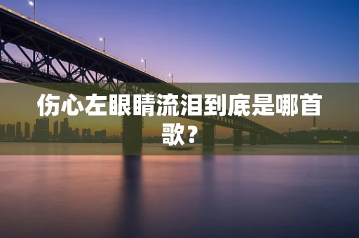 伤心左眼睛流泪到底是哪首歌？