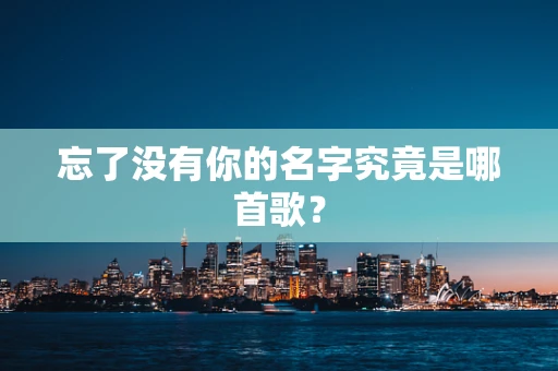 忘了没有你的名字究竟是哪首歌？