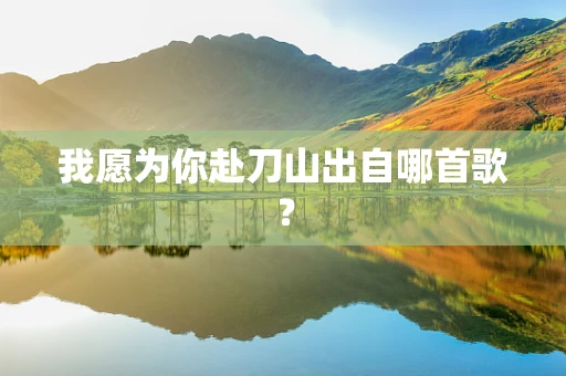 我愿为你赴刀山出自哪首歌？
