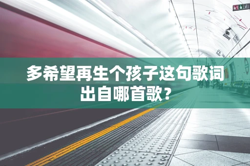 多希望再生个孩子这句歌词出自哪首歌？