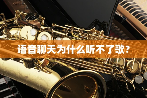 语音聊天为什么听不了歌？
