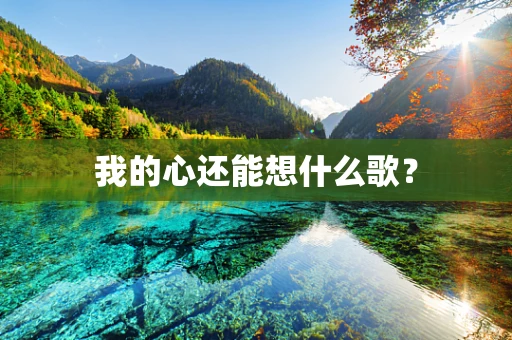 我的心还能想什么歌？