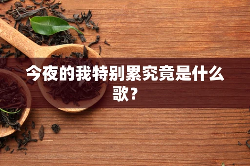 今夜的我特别累究竟是什么歌？