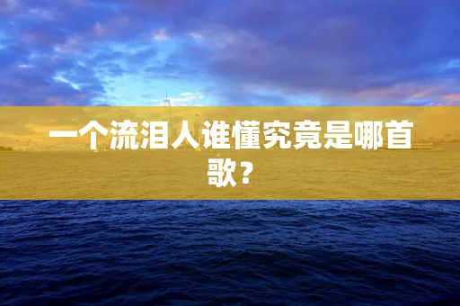 一个流泪人谁懂究竟是哪首歌？