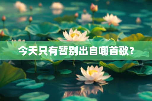今天只有暂别出自哪首歌？