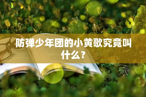 防弹少年团的小黄歌究竟叫什么？