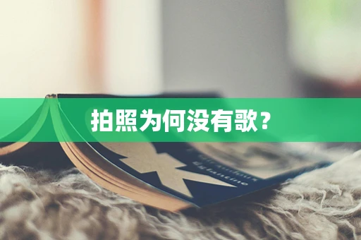 拍照为何没有歌？