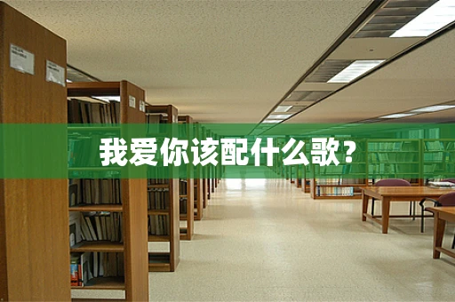 我爱你该配什么歌？