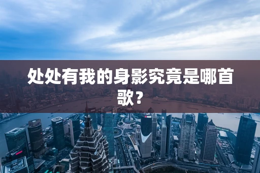 处处有我的身影究竟是哪首歌？